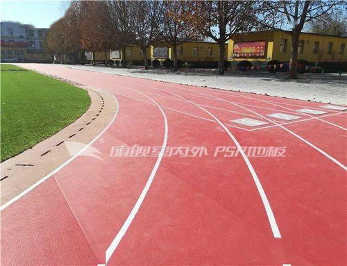 運動與健康同行 塑膠場地與預制型跑道卷材的革新力量