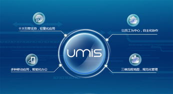 上?；ヂ摼W軟件集團 高端協同管理軟件產品和咨詢服務提供商